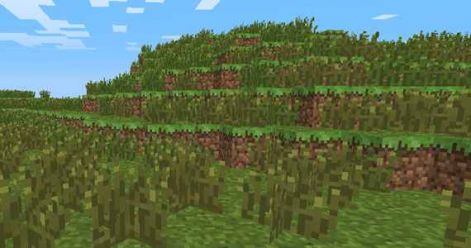 minecraft-tall-grass.jpg